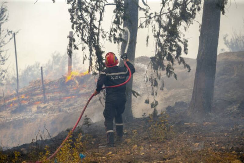 A firefighter tries to extinguish a ire in Firnanah in Jendouba province of Tunisia.