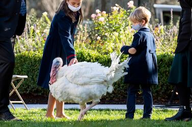 epa08839994 The children of Ivanka Trump and Jared Kushner, Arabella and Theodore, greet Corn, the National Thanksgiving Turkey, before President Trump pardoned the bird, at the White House, in Washington, DC, USA, 24 November 2020. EPA/KEVIN DIETSCH / POOL