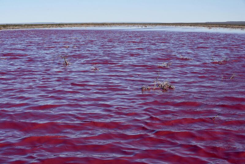 The lagoon, which is not used for recreation, receives runoff from the Trelew industrial park and has changed colour before