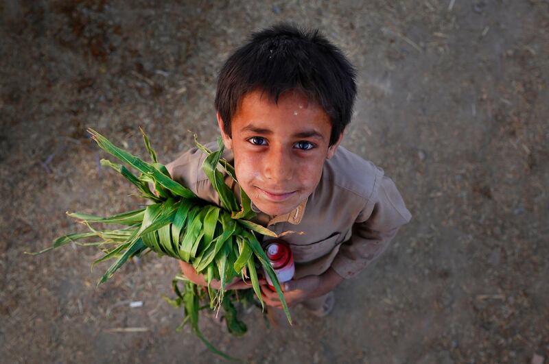 An Afghan child with grass to feed his cattle in Kabul. EPA