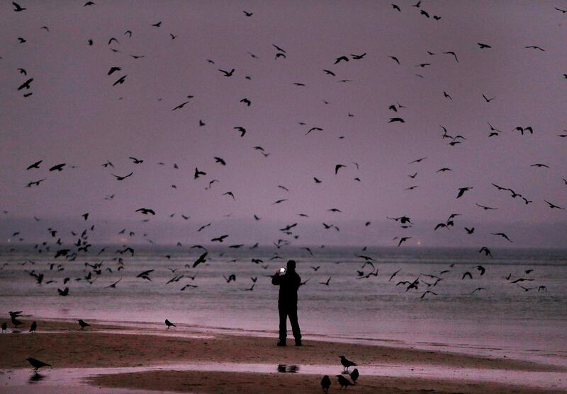 A man takes a picture of hundreds of crows during dawn at the Baltic Sea in Timmendorfer Strand, Germany. Michael Probst / AP Photo