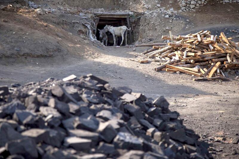 Donkeys stand at the entrance of a coal mine in Choa Saidan Shah, Punjab. The donkeys make around 20 trips per day carrying sacks weighing about 20kg each. Sara Farid / Reuters