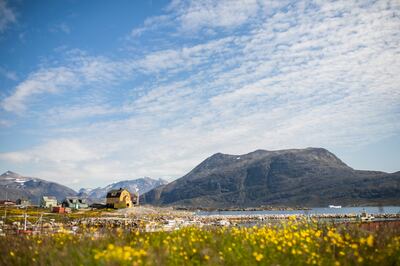 South Greenland offers flower-filled meadows, ice caps and outdoor adventure. Photo: Visit Greenland