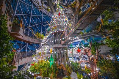 The Christmas tree at The Green Planet. Courtesy The Green Planet