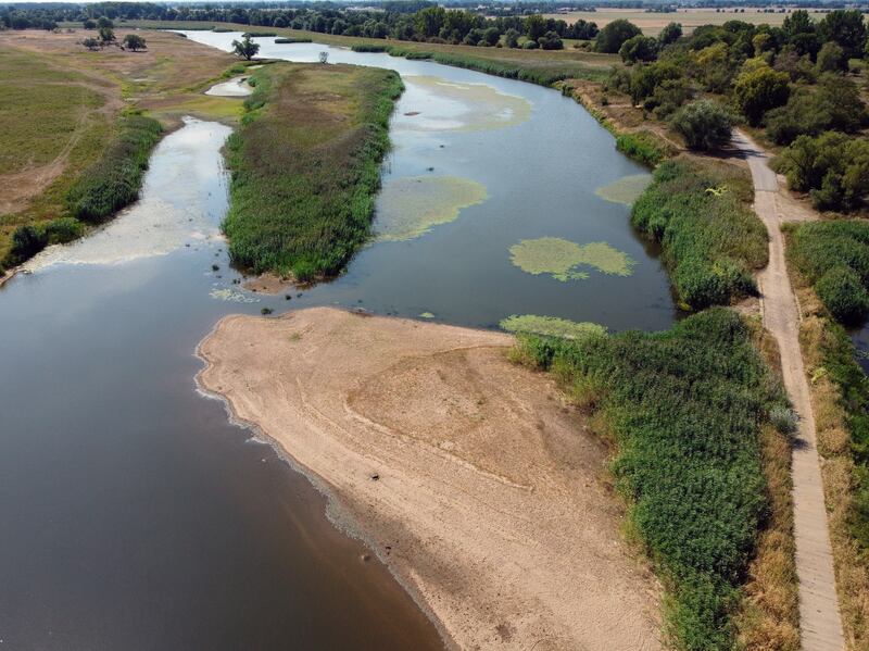Low water levels at the Odra river near Czelin village, north-western Poland. EPA