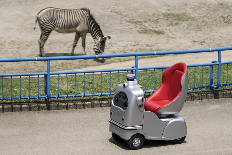 A RakuRo autonomous self-driving robot developed by ZMP Inc. moves past a zebra at the Chiba Zoological Park during a rehearsal for an online virtual tour event tomorrow  in Chiba, Japan. Getty Images