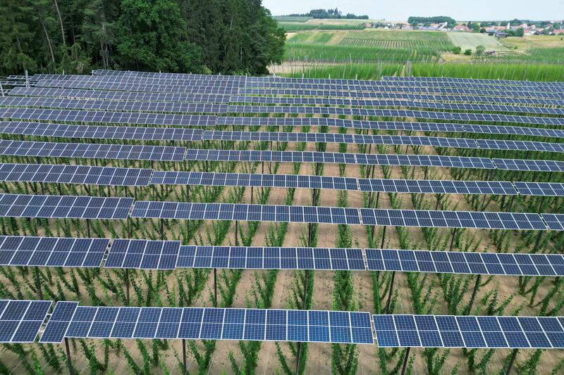 Solar panels at a hops plantation in Germany. Solar energy generation is on course to meet net-zero emissions targets by 2050. Reuters