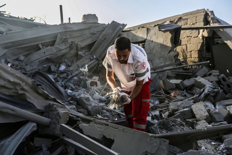 A paramedic holds an injured bird as he searches through buildings destroyed during Israeli air raids in Khan Younis, in the southern Gaza Strip. Getty Images
