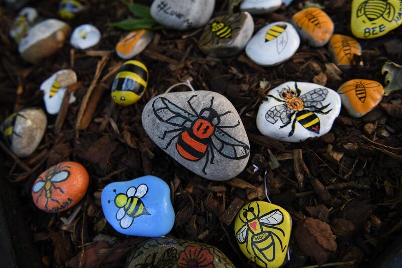 Pebbles decorated with the Manchester bee, a symbol of Manchester, are photographed at the base of a 'tree of hope' planted as a memorial to the victims of the attack. AFP/Paul ELLIS