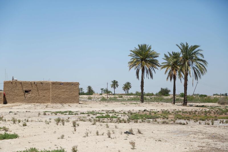 The provinces of Dhi Qar, Maysan and Diwaniya are among the worst affected by the drought, according to the International Organisation for Migration, which estimates 76 per cent of displaced people relocate to cities