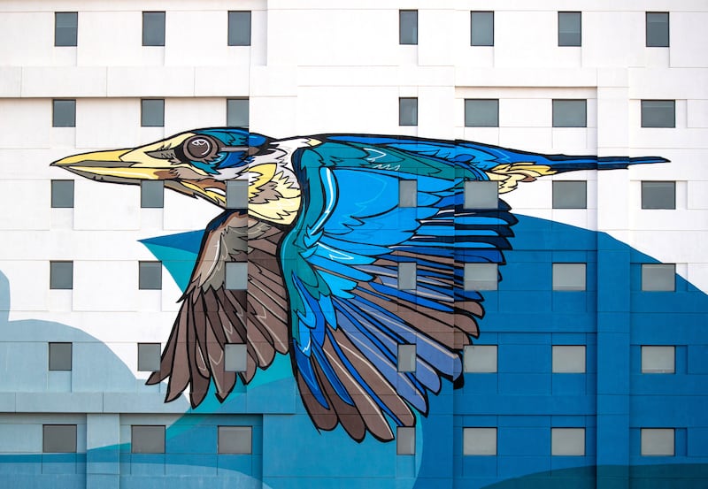 The collared kingfisher, which has blue wings and a white breast, is currently part of a preservation programme in Kalba, Sharjah.