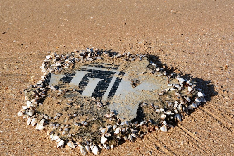 A part of the aircraft engine cowling from the missing plane stencilled with the Rolls-Royce logo, found at Mossel Bay, South Africa. AFP