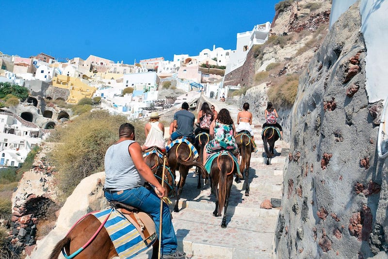 Tourists in Santorini are being urged to think twice before riding donkeys. Courtesy The Donkey Sanctuary