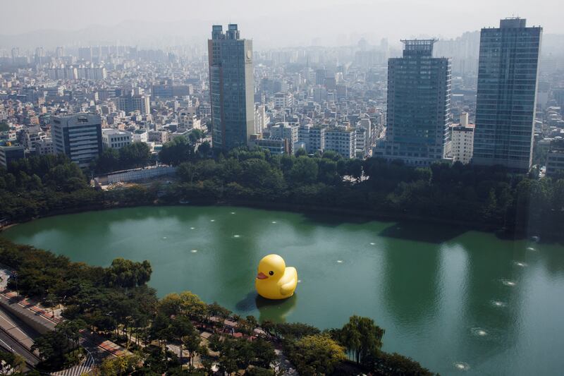 A giant inflatable rubber duck installation by Dutch artist Florentijn Hoffman floats on Seokchon Lake in Seoul, South Korea. Reuters