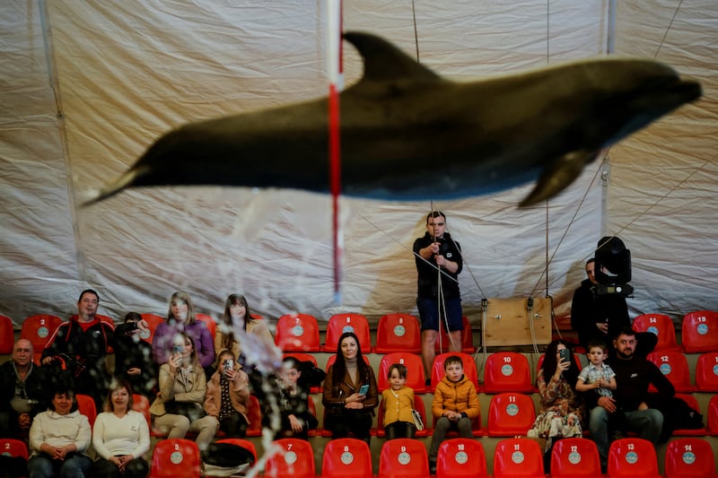 Ukrainian families, who have fled Kherson amid the Russian invasion, watch a dolphin show at a hotel in Odesa, Ukraine. Reuters