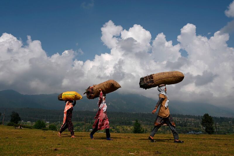 Bakarwal nomadic women carries firewood at Doodhpatri, in Budgam district of Jammu and Kashmir. AFP