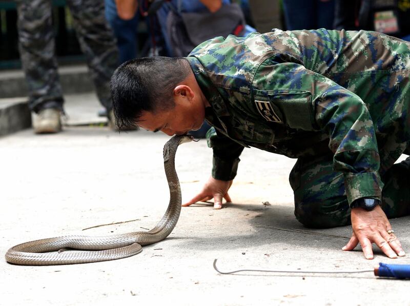 A Thai marine instructor kisses a cobra as he teaches US and South Korean soldiers how to catch cobras during a jungle survival training exercise at the Royal Thai Naval Base, Sattahip district, Chonburi province, Thailand. Rungroj Yongrit / EPA
