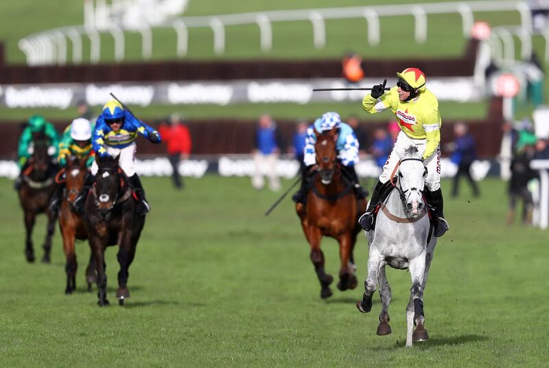 CHELTENHAM, ENGLAND - MARCH 11: Politologue ridden by Harry Skelton celebrates winning the Betway Queen Mother Champion Chase (Grade 1) at Cheltenham Racecourse on March 11, 2020 in Cheltenham, England. (Photo by Michael Steele/Getty Images)
