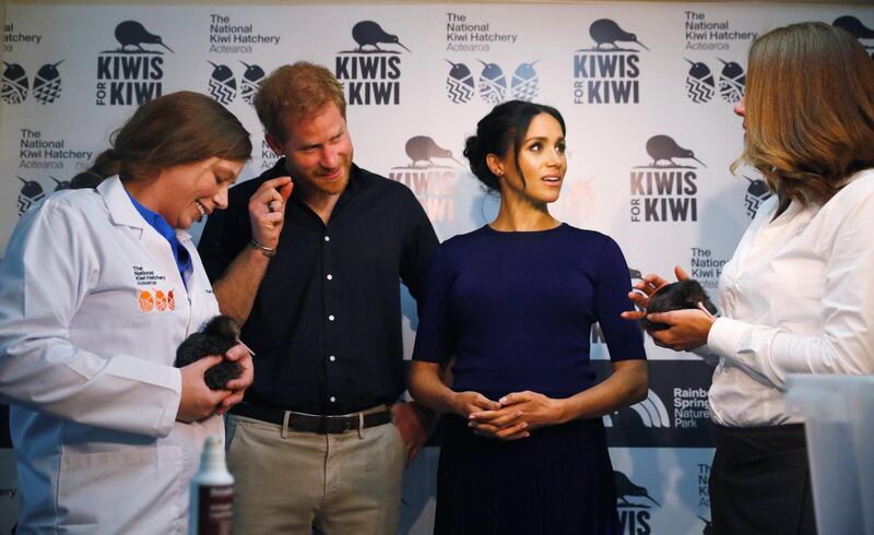 Prince Harry and Meghan look at kiwi chicks during their trip to the National Kiwi Hatchery at Rainbow Springs in Rotorua. Getty Images