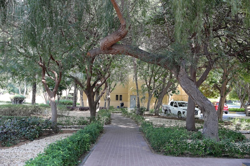 Maroun Farah said the greenery helps him and his family to exercise and unwind. Pawan Singh / The National