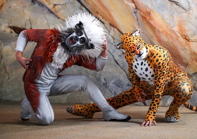 SeaWorld Abu Dhabi performers Benjamin Ratcliffe as a cotton-top tamarin and Matthew Wagner as a jaguar. All photos: Victor Besa / The National.