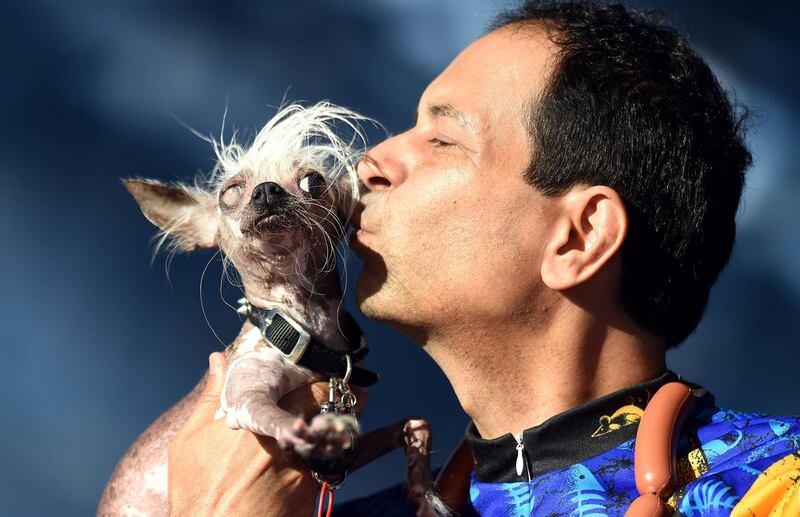 Rascal Deux, a Chinese Crested, gets a kiss from owner Dane Andrew during The World's Ugliest Dog Competition. Josh Edelson / AFP
