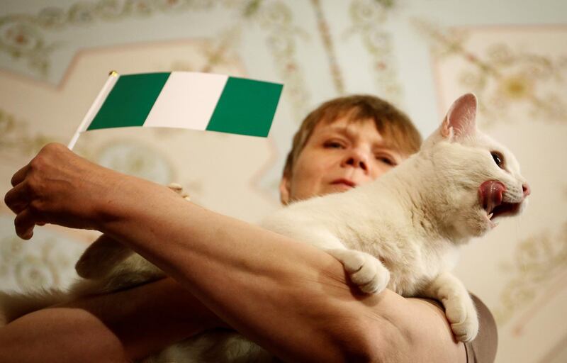 Achilles the cat, who lives in St Petersburg's Hermitage Museum, chooses Nigeria while predicting the result of the World Cup match between Argentina and Nigeria. Reuters