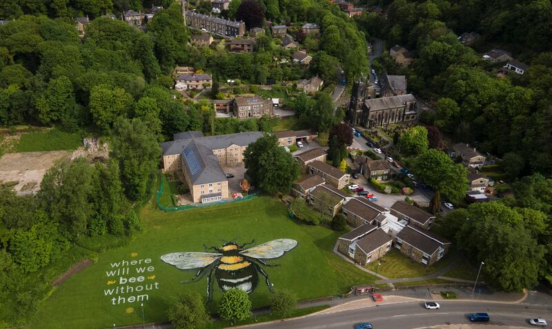 On Friday a 60-metre-tall mural of a bumblebee painted by artists from Sand In Your Eye went on display in a playing field near Hebden Bridge to mark World Bee Day. PA
