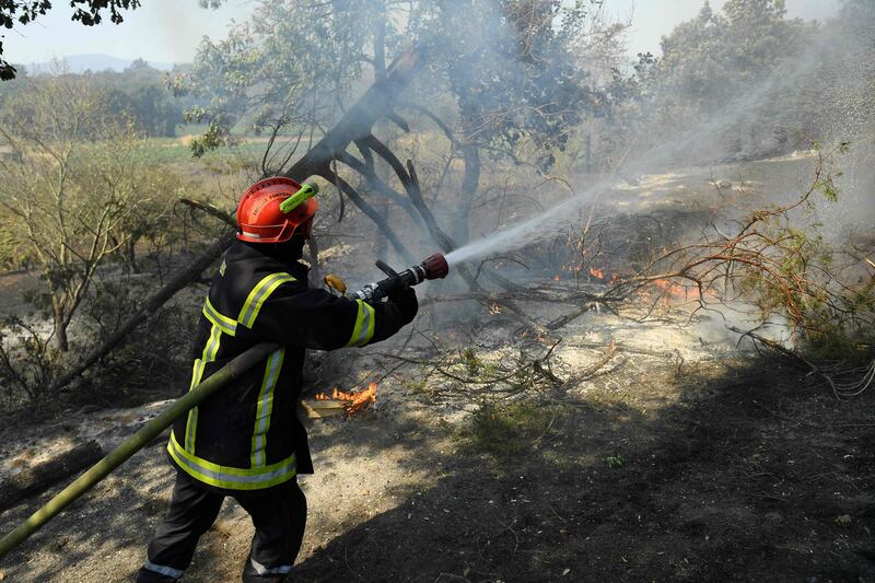 A French firefighter attempts to extinguish flames that have reduced forest to scrubland.