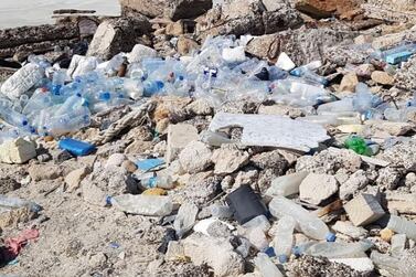 Plastics clog a beach in Umm Al Quwain. Nic Muhl
