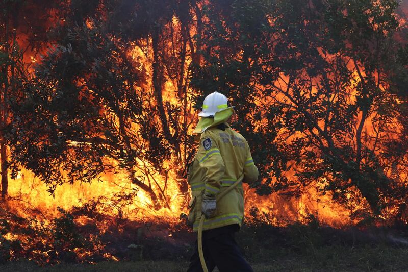 Firefighters battle bushfires in Angourie, northern New South Wales, Australia. AP.