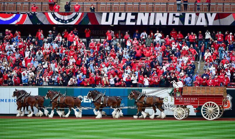 The Anheuser Busch Clydesdales run on the track before the opening day game between the St Louis Cardinals and the Pittsburgh Pirates at Busch Stadium in St Louis, Missouri. Photo: USA TODAY Sports