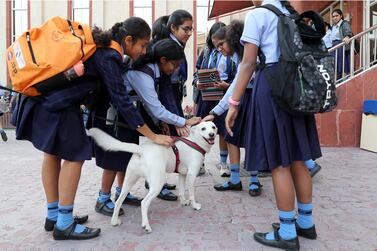 Grade 10 pupils of the Indian High School in Dubai pet a dog before their English board exam on Wednesday. Pawan Singh / The National