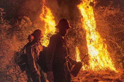 ARCADIA, CA - SEPTEMBER 13: Mill Creek Hotshots set a backfire to protect homes during the Bobcat Fire on September 13, 2020 in Arcadia, California. California wildfires that have already incinerated a record 2.3 million acres this year and are expected to continue till December. The Bobcat Fire, burning in the San Gabriel Mountains, has grown to about 32,000 acres and is only 6% contained.  (Photo by David McNew/Getty Images)