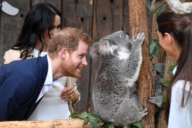 Prince Harry, the Duke of Sussex, and Meghan, the Duchess of Sussex, meet a koala during a visit to Taronga Zoo in Sydney. AAP