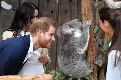 Britain's Prince Harry, the Duke of Sussex, and his wife Meghan, the Duchess of Sussex, are seen meeting Ruby, a mother Koala who gave birth to koala joey Meghan, named after Her Royal Highness, with a second joey named Harry after His Royal Highness, during a visit to Taronga Zoo in Sydney, Australia, October 16, 2018. AAP/Dean Lewins/POOL/via REUTERS  ATTENTION EDITORS - THIS IMAGE WAS PROVIDED BY A THIRD PARTY. NO RESALES. NO ARCHIVE. AUSTRALIA OUT. NEW ZEALAND OUT. TPX IMAGES OF THE DAY  ?