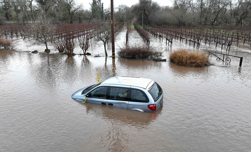 A car in the San Francisco Bay area floats by a vineyard. Getty / AFP