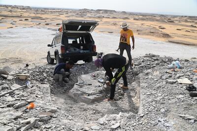 A team of Egyptian palaeontologists works in New Valley. Photo: New Valley Vertebrate Palaeontology Centre