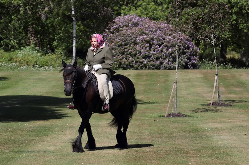 Queen Elizabeth in May 2020 rides Balmoral Fern, a 14-year-old fell pony, in Windsor Home Park. AFP