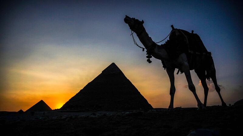 A camel walks past the pyramid of Khafre (also known as Chephren) at the Giza pyramids on the southwestern outskirts of the Egyptian capital Cairo. AFP