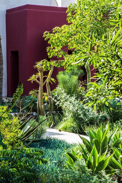 Le Jardin Secret in Medina Marrakech. Courtesy Giulio Pietromarchi