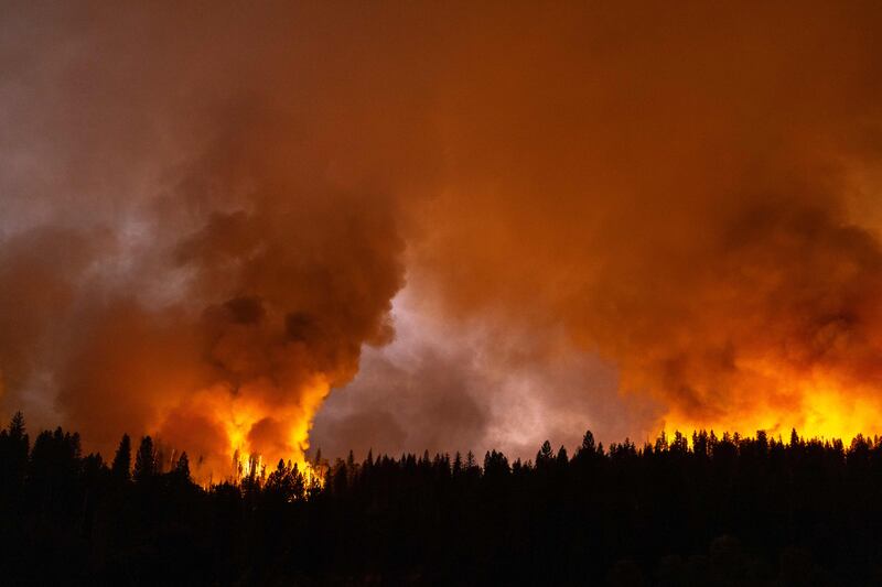 A forest is incinerated by a wildfire in California. AFP