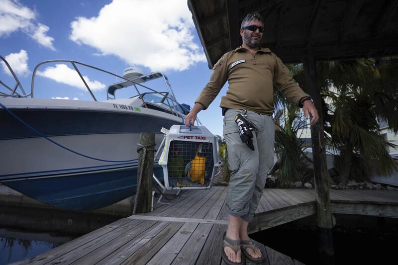 Bryan Stern, founder of Project Dynamo, carries a bird being rescued from a sanctuary in Pine Island. AP