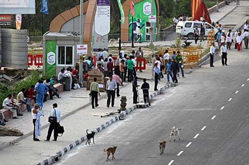 Stray dogs roam outside one of the entrances to the Commonwealth Games athletes’ village. Saurabh Das / AP Photo