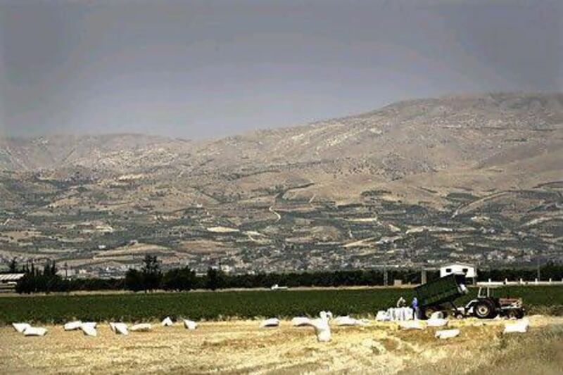 The fertile soil of the Bekaa Valley is used by farmers for both legal and illegal crops. Byran Denton for The National