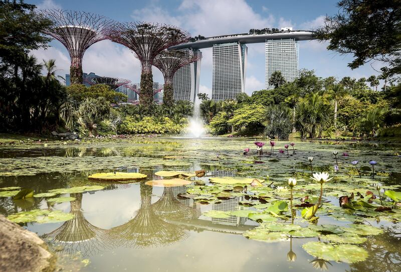 The Supertrees vertical gardens and the Marina Bay Sands Hotel reflected in a pond at the Gardens by the Bay in Singapore. The Singapore Tourism Board is targeting more tourists from the arabian Gulf. Wallace Woon / EPA