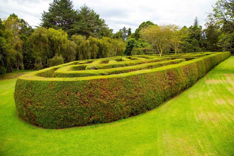 The Millennial Maze at Fairmont Mount Kenya.