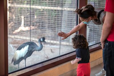 DUBAI, UNITED ARAB EMIRATES. 07 OCTOBER 2020. Dubai Safari Park re-opens it’s doors to the public again after being closed for the past two years. (Photo: Antonie Robertson/The National) Journalist: Nick Webster. Section: National.
