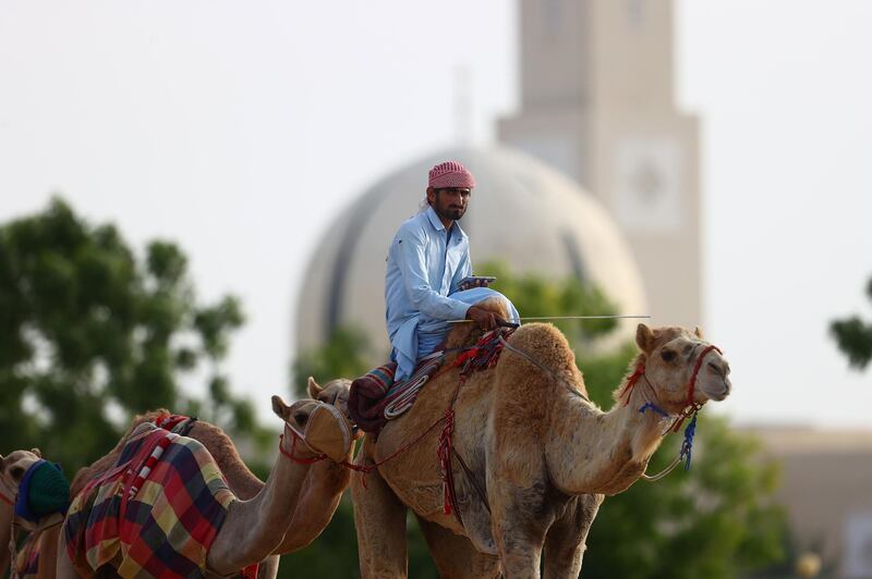 A camel handler is pictured against the backdrop of a mosque in Dubai. Getty Images
