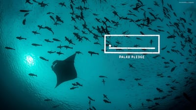 Four women living in Palau laid the foundations for what would lead to the development of the Palau pledge. Courtesy The Palau Legacy Project